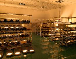 старое тестирование